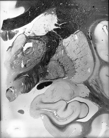 I051w_R3_1002