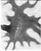 I015w_R2_0800