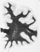 I016w_R2_0800(2)