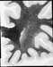 I017w_R2_0702