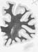 I018w_R2_0700