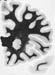 I021w_R2_0604