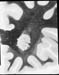 I022w_R2_0604(601)