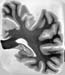 I073w_R4_0151(2)