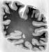 I081w_R4_0602