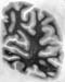 I086w_R4_1100