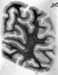 I087w_R4_1200