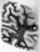 I088w_R4_1298