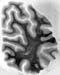 I089w_R4_1348