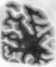 I090w_R5_0098