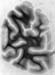 I093w_R5_0498