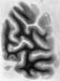 I094w_R5_0598