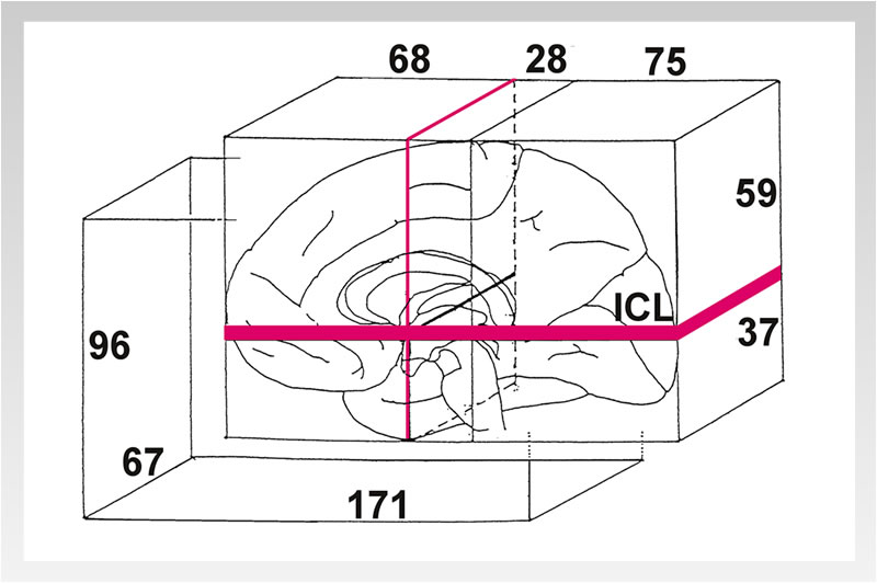 Detailed Atlas of the Human Brain in Stereotaxic Coordinates.