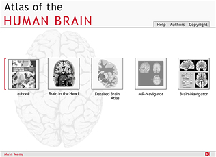 The Interface &ndash; Easy access to additional material and applications to explore the human brain with your favorite web browser. Choose your area of interest.