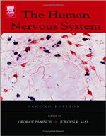 The Human Nervous System